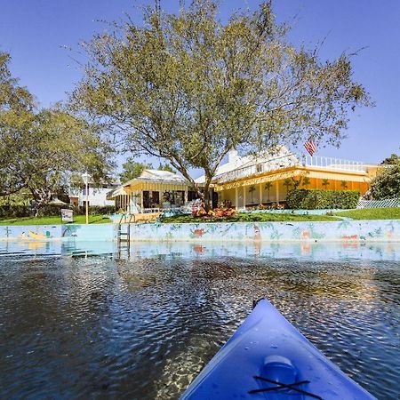 Pams Mermaid House With Riverfront Yard And Lanai! Apartman Weeki Wachee Kültér fotó