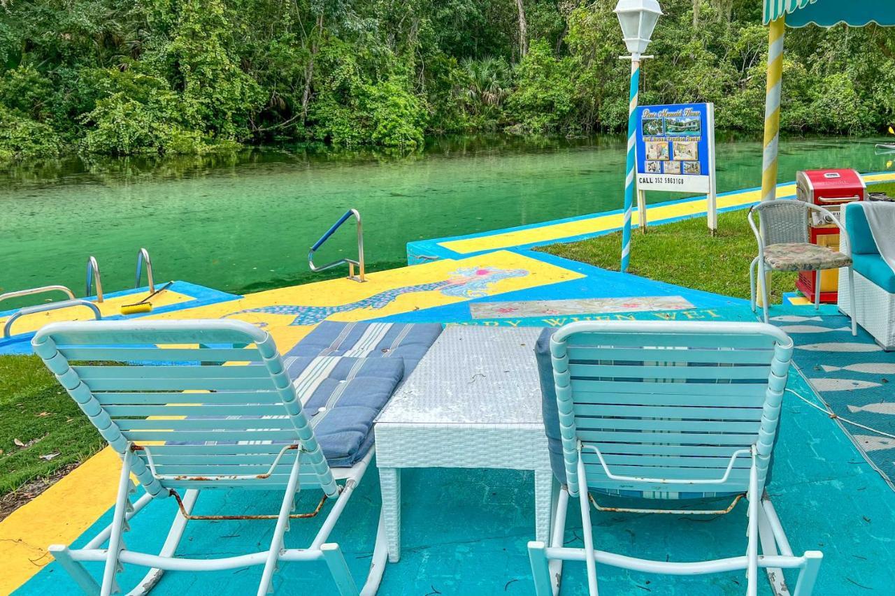 Pams Mermaid House With Riverfront Yard And Lanai! Apartman Weeki Wachee Kültér fotó