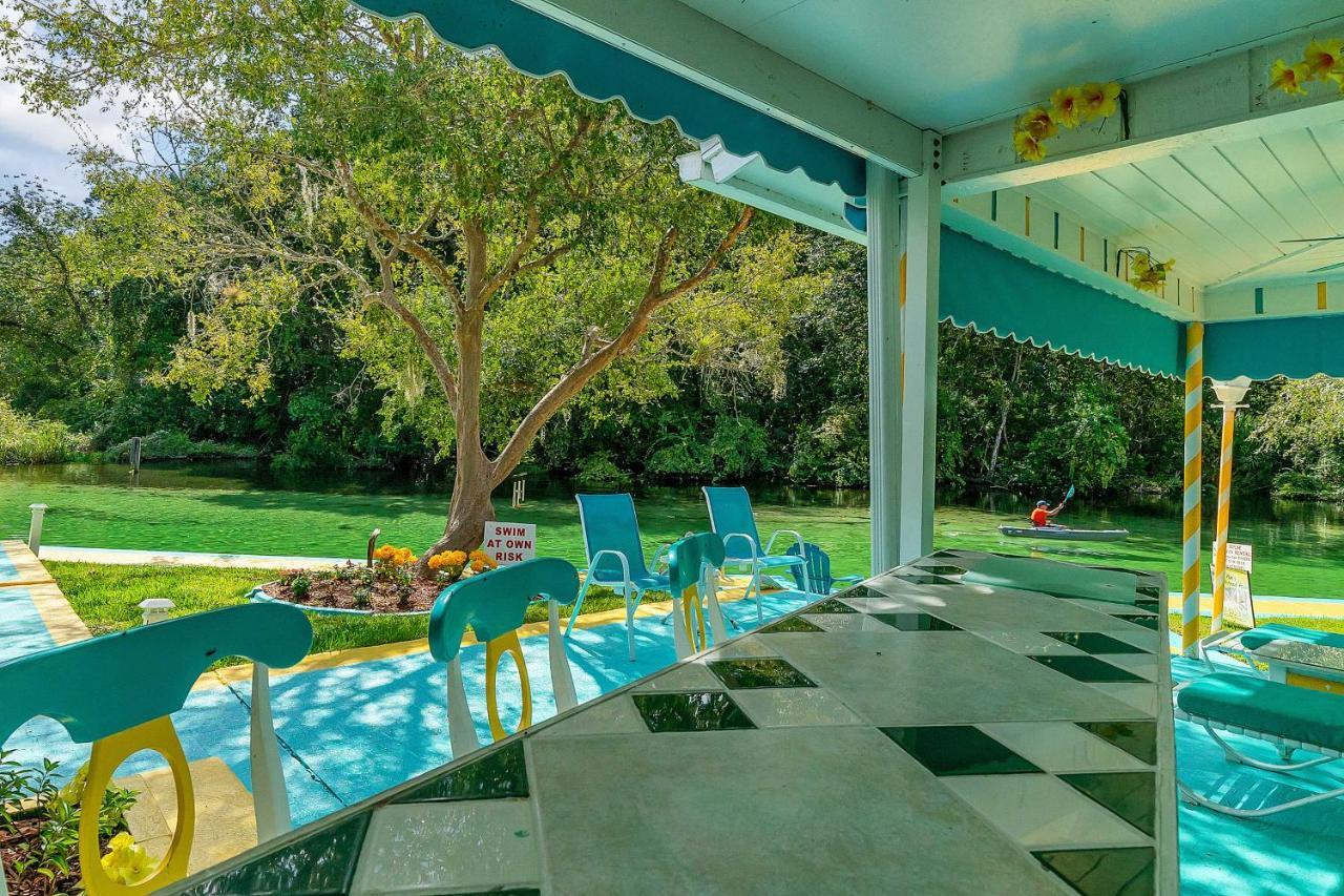 Pams Mermaid House With Riverfront Yard And Lanai! Apartman Weeki Wachee Kültér fotó